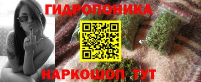 гидра Нальчик