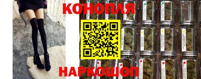 прущие грибы Нарткала