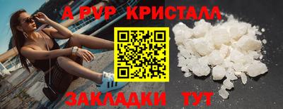 гидра Нальчик
